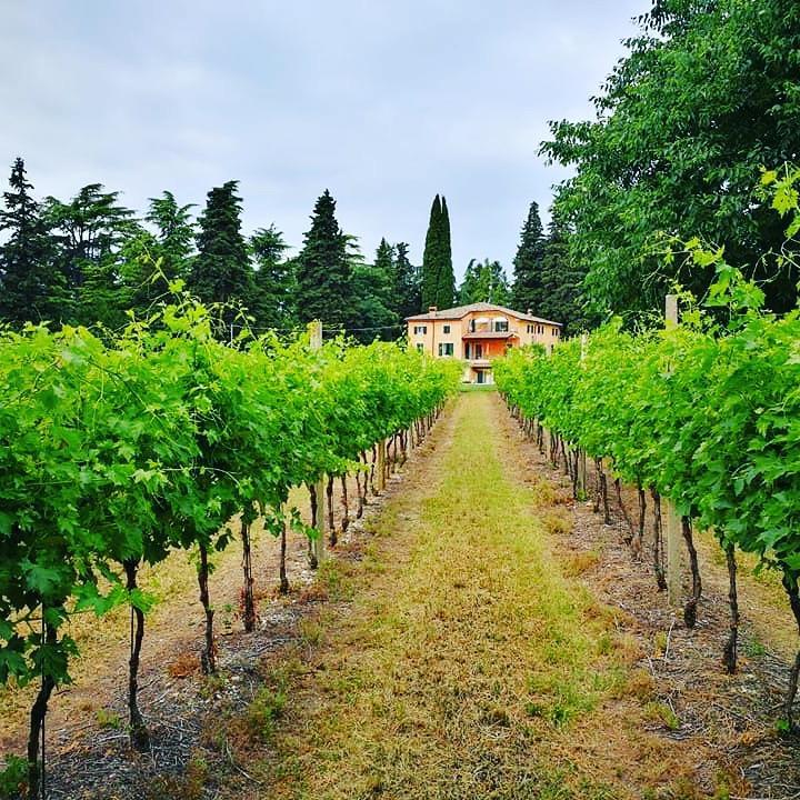 Residenza Eden Vendégház Colà Kültér fotó