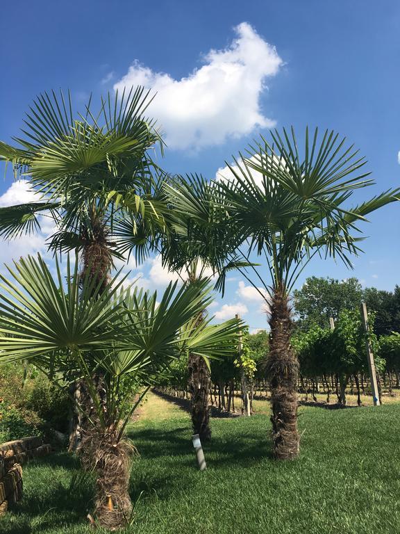 Residenza Eden Vendégház Colà Kültér fotó