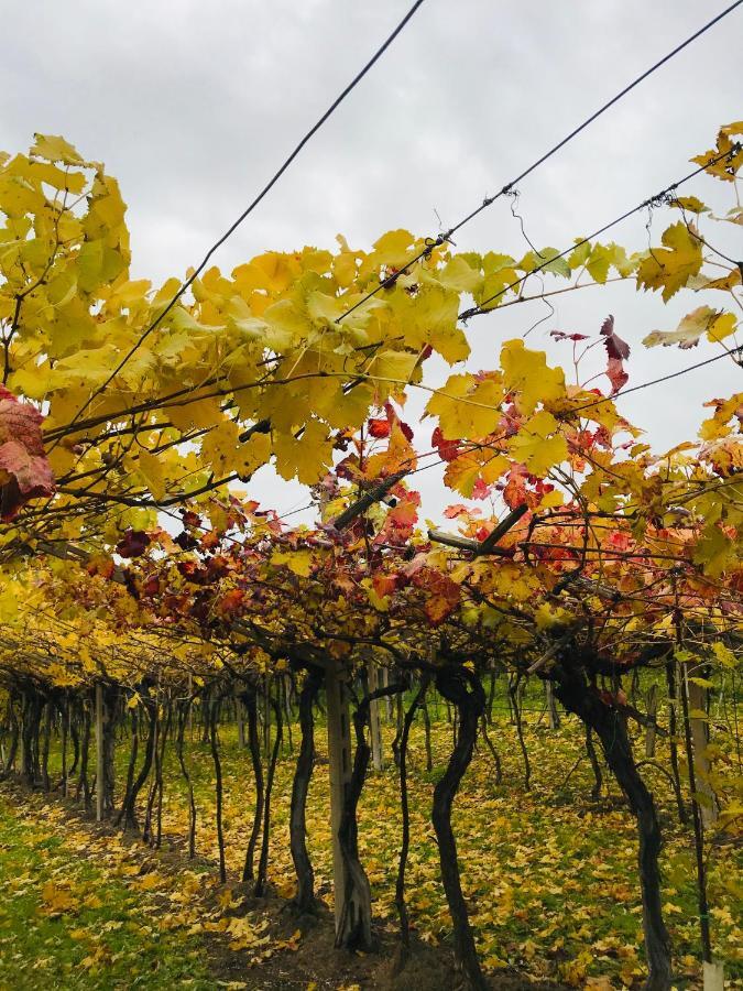 Residenza Eden Vendégház Colà Kültér fotó